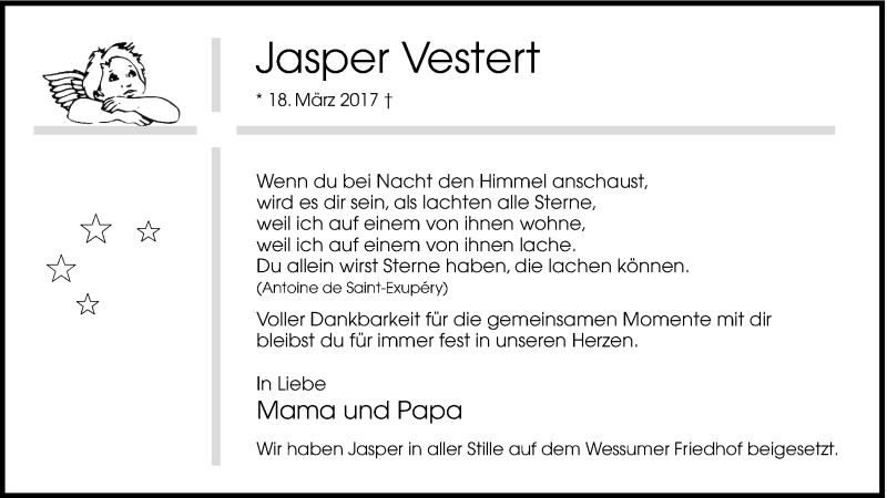  Traueranzeige für Jasper Vestert vom 25.03.2017 aus Münstersche Zeitung und Münsterland Zeitung